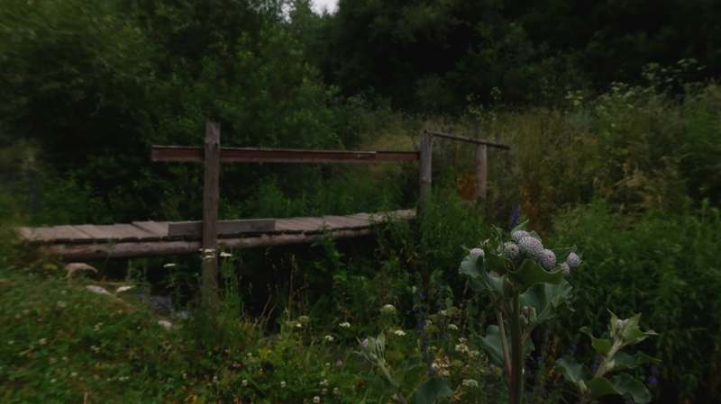 Homepage for Home Improvement Gardening & Outdoor Decor garden bridges